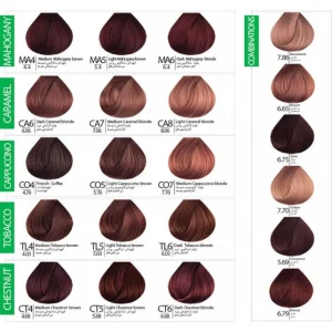 رنگ مو بن سای سری Natural حجم 100 میلی لیتر